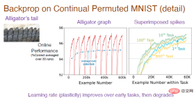 Richard Sutton bluntly stated that convolutional backpropagation has fallen behind, and AI breakthroughs require new ideas: continuous backpropagation