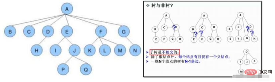What are the basic knowledge and concepts of binary trees in Java?