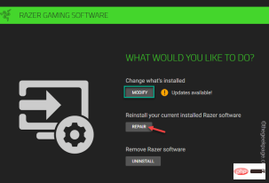 Razer Synapse 无法在 Windows 11、10 中打开或无法启动