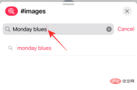 GIF 不能在 iPhone 上运行?如何以 10 种方式修复