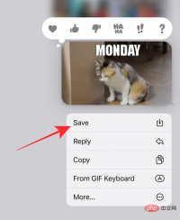 GIF 不能在 iPhone 上运行?如何以 10 种方式修复
