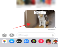 GIF 不能在 iPhone 上运行?如何以 10 种方式修复