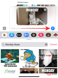 GIF 不能在 iPhone 上运行?如何以 10 种方式修复