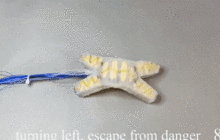 康奈尔大学推出“终结者”机器人，能自我修复损伤