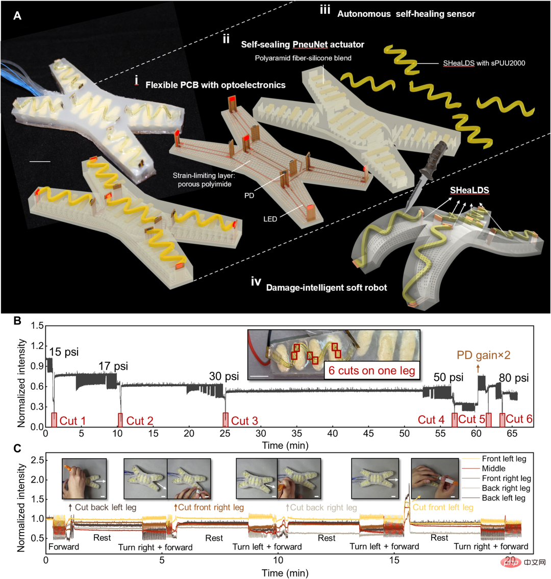 Cornell University launches Terminator robot that can self-repair damage