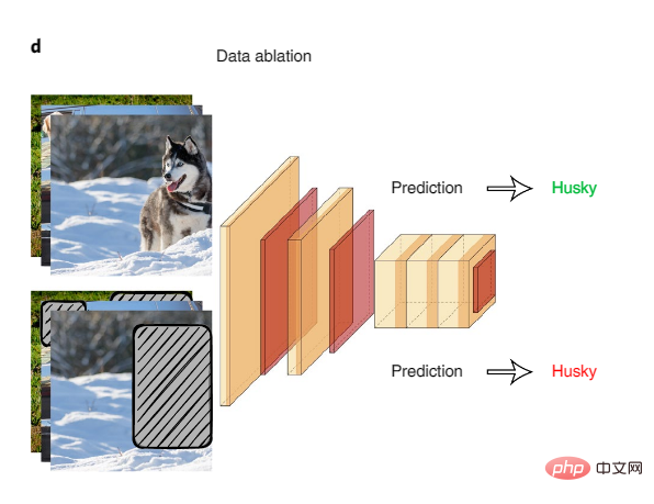 斯坦福李飞飞团队新研究登 Nature 子刊：实现可信 AI，数据的设计、完善、评估是关键