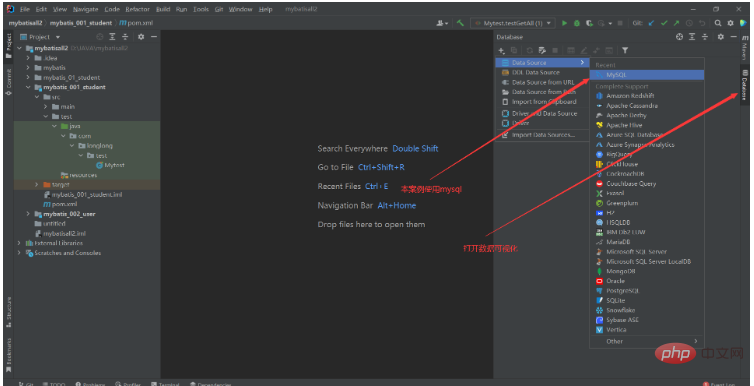 Wie wende ich das Mybatis-Framework in Java an?