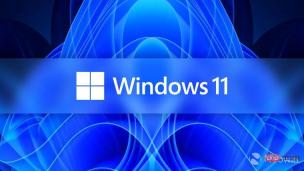 Oracle VirtualBox现已支持Windows 11、macOS Big Sur、Monterey等操作系统