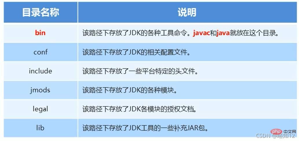 Java基礎概念是什麼？