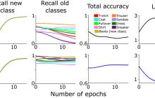 研究表明：基于相似性加权交错学习可有效应对深度学习中的“失忆症”问题