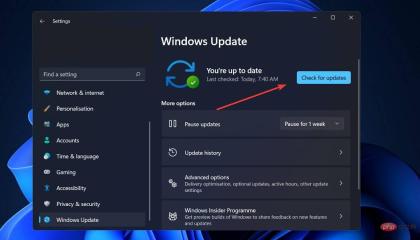 Windows 11 找不到 Gpedit.msc？尝试这些修复