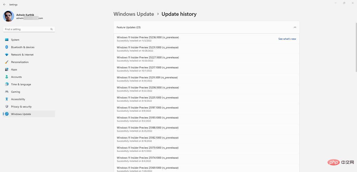 Windows 11 Insider Preview Build 25236 显示有关如何使用 Windows Search 的提示