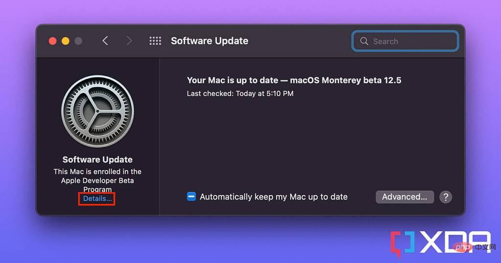 如何在 Mac 上从 macOS 测试版切换到稳定版