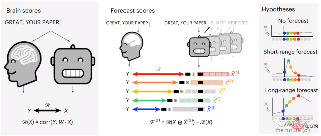 Brain hierarchical prediction makes large models more efficient!