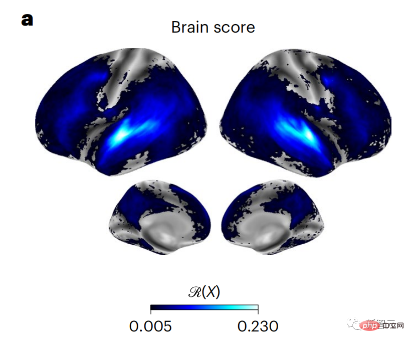 Brain hierarchical prediction makes large models more efficient!