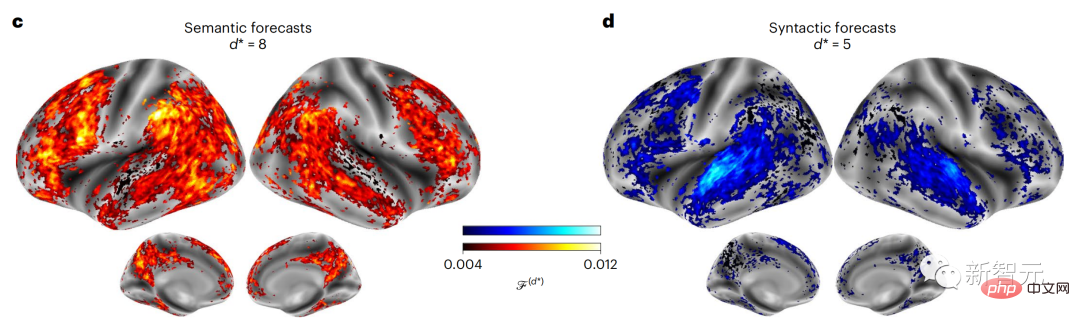 Brain hierarchical prediction makes large models more efficient!