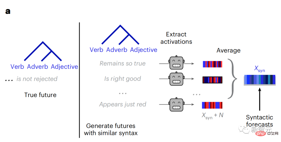 Brain hierarchical prediction makes large models more efficient!