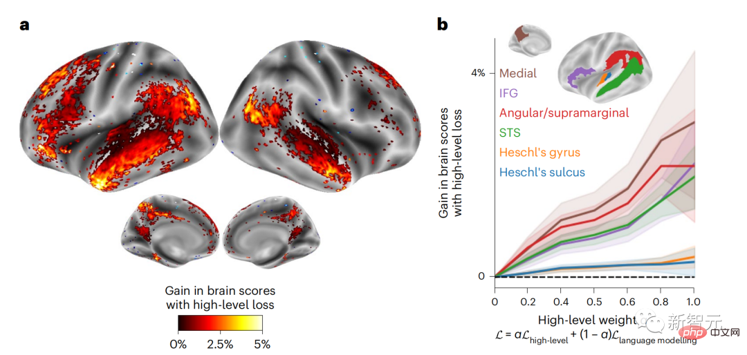 Brain hierarchical prediction makes large models more efficient!