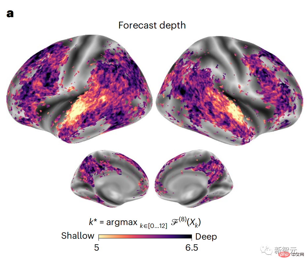 Brain hierarchical prediction makes large models more efficient!