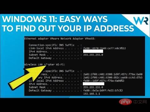 查看在 Windows 11 中查找 IP 地址的 6 种简单方法