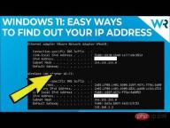 查看在 Windows 11 中查找 IP 地址的 6 种简单方法