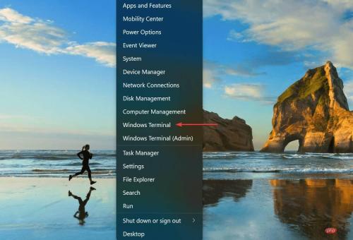 查看在 Windows 11 中查找 IP 地址的 6 种简单方法