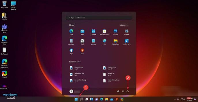 Windows 11搜索栏不起作用：6修复方法