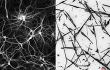人工智能新突破：研究人员发现纳米线网络能像人脑一样学习和记忆