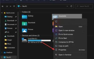 修復:無法移動資料夾,因為 Windows 11 中的相同位置有一個資料夾 弗拉基米爾·波佩斯庫