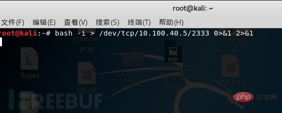 What does rebound shell mean?