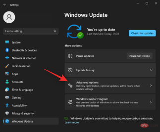 如何在 Windows 11 上禁用更新
