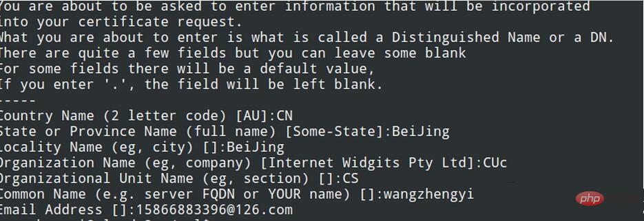 Analyse de linstance de serveur https de construction Nginx