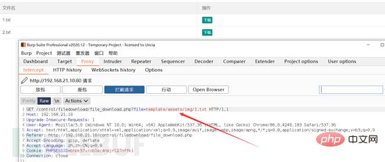 How to reproduce arbitrary file download vulnerability in Webug shooting range