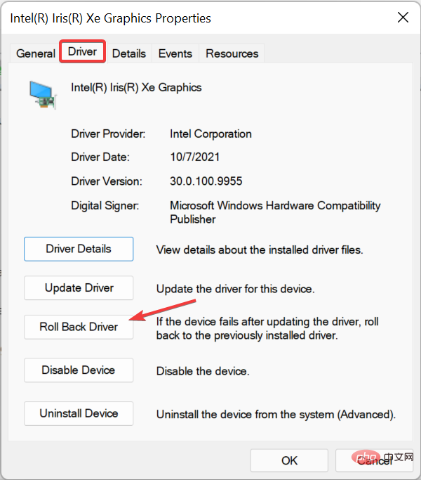 如何修复 Windows 11 中的视频驱动程序问题