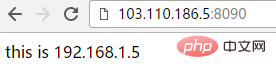 nginx proxy_pass reverse proxy configuration example analysis