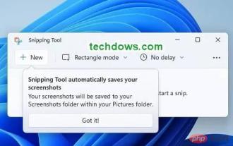 Windows 11 Snipping Tool gets auto-saving feature for screenshots