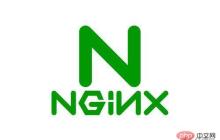 Nginx的常用操作命令是什么