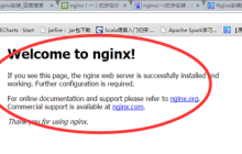 CentOS6.5环境安装nginx服务器及负载均衡配置的方法