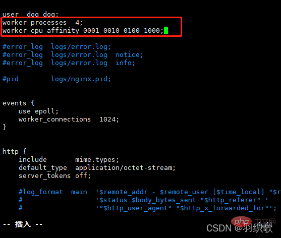 Exemple danalyse de la configuration de lanti-hotlink et de loptimisation des services de Nginx