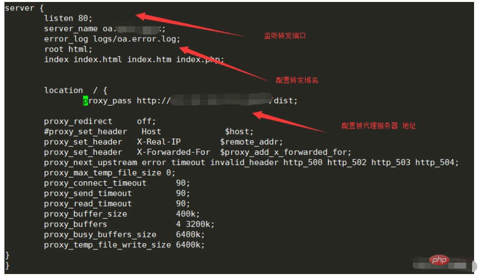 Cara menggunakan proksi hadapan nginx untuk memajukan nama domain intranet