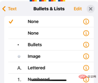 如何在 iPhone 上编辑 Word 文档