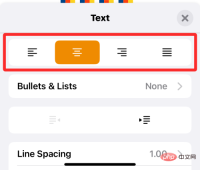 如何在 iPhone 上编辑 Word 文档