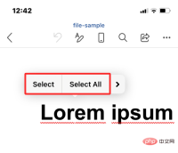 如何在 iPhone 上编辑 Word 文档