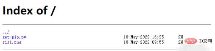 So erstellen Sie mit Nginx einen Dateiserver zum Hoch- und Herunterladen in einem Container