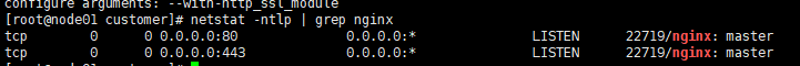 Linux에서 Nginx1.16.0을 설치하는 방법