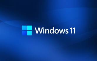Windows 11 Build 22000.917 is now in the release preview channel