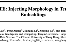 词嵌入表示参数占比太大？MorphTE方法20倍压缩效果不减