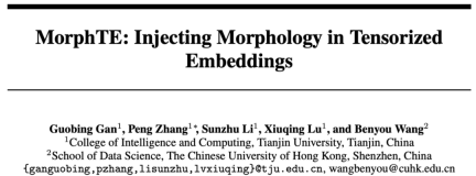 Does word embedding represent too large a proportion of parameters? MorphTE method 20 times compression effect without loss