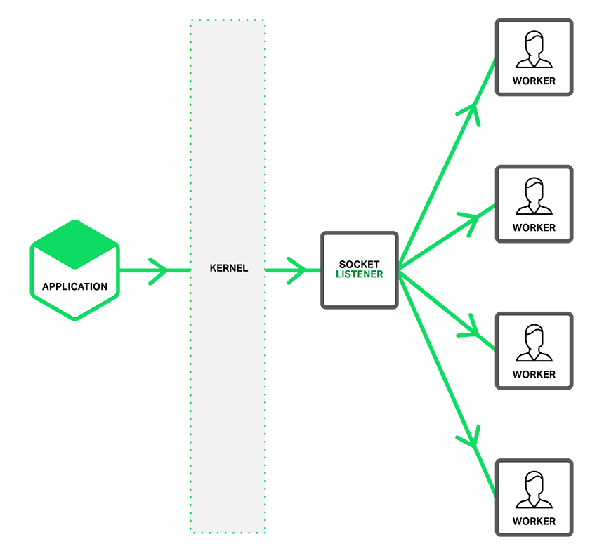 What is Socket segmentation in Nginx server