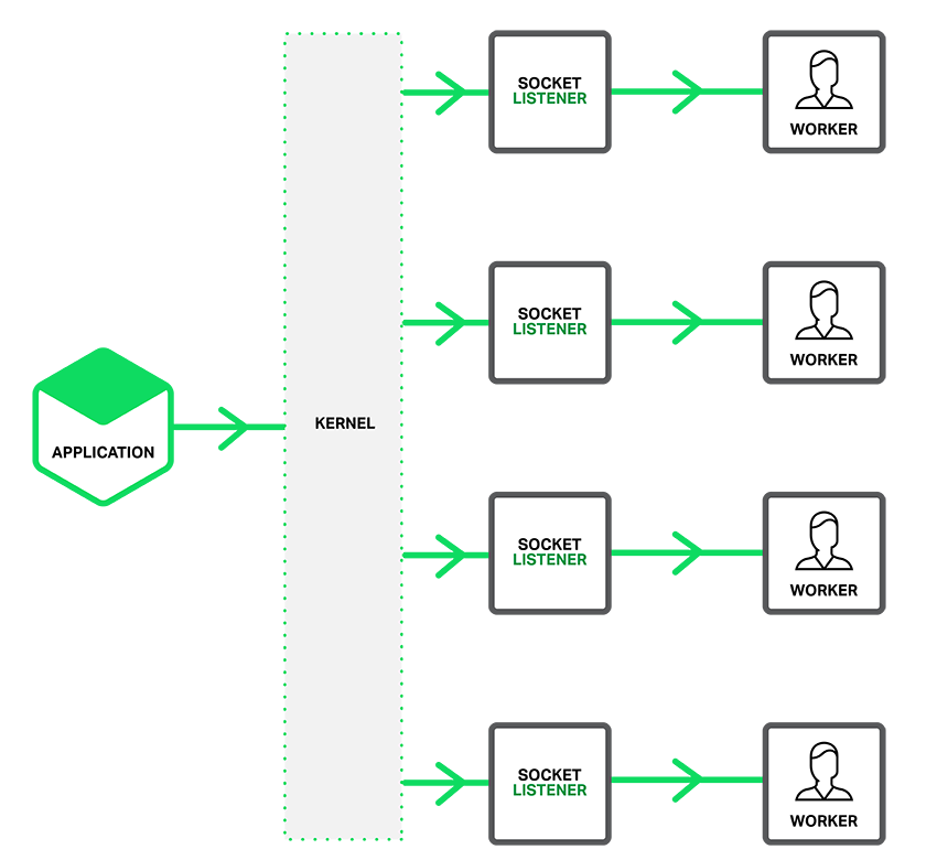 What is Socket segmentation in Nginx server